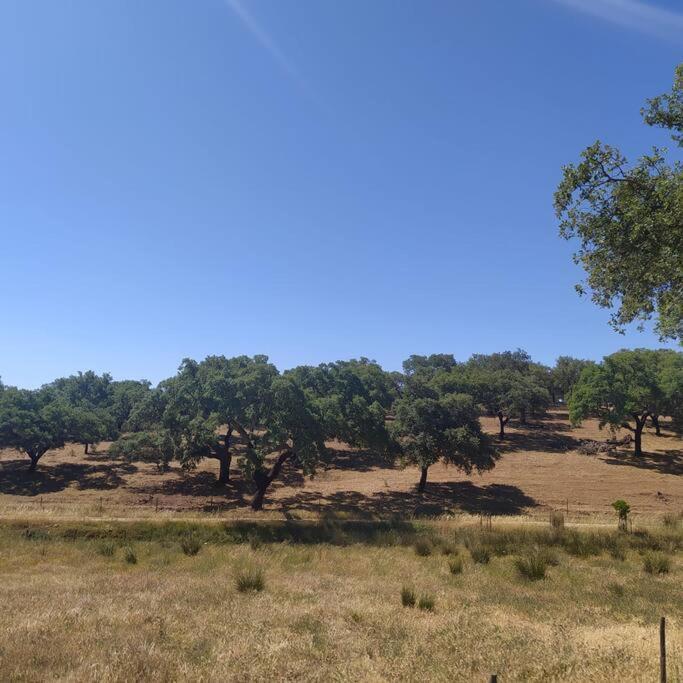 Casa Do Forno Evora Retreat Βίλα Redondo Εξωτερικό φωτογραφία